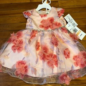Beautiful baby girl dress